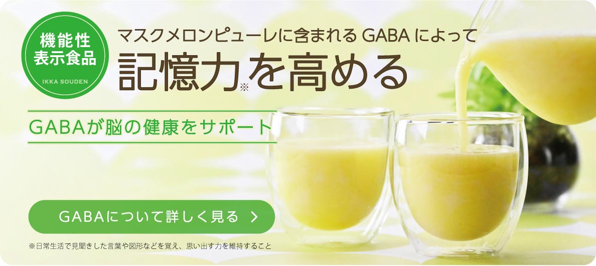 “マスクメロンピューレ”には記憶力を高めるのに役立つ機能がある『GABA』が豊富に含まれています