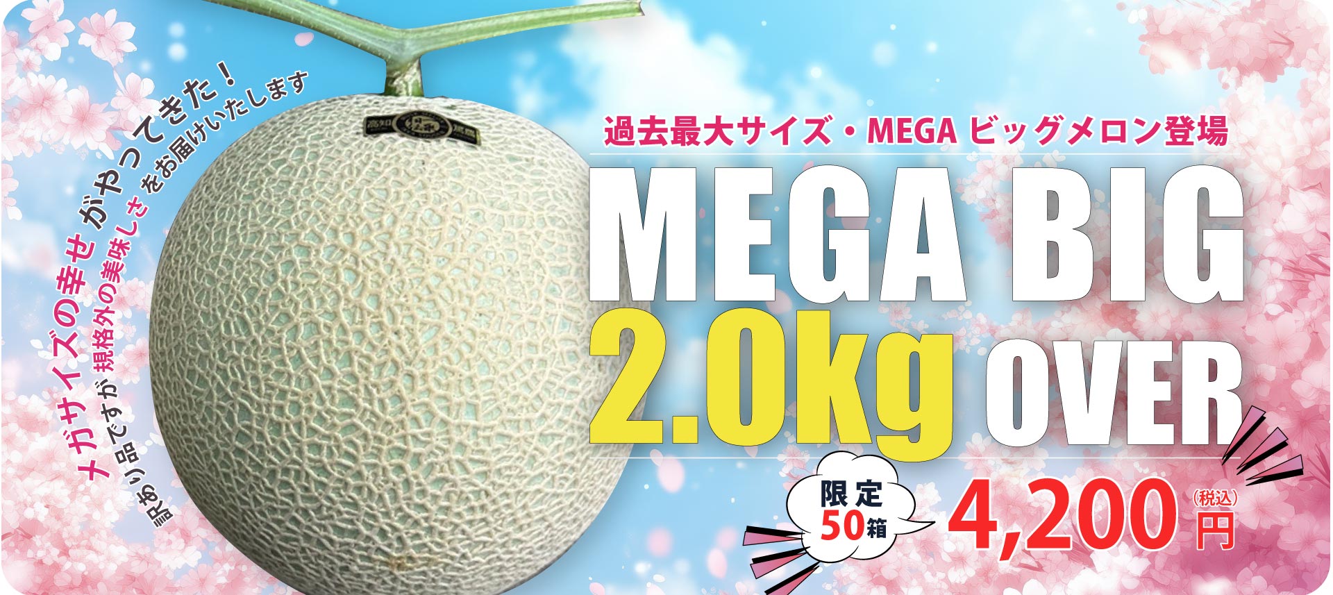 メガビックメロン