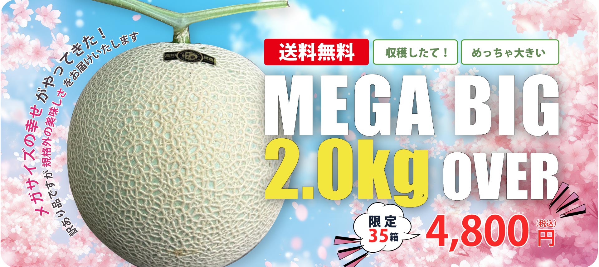 メガビックメロン