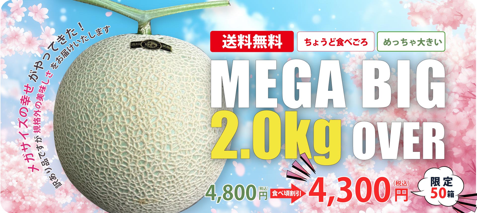 メガビックメロン