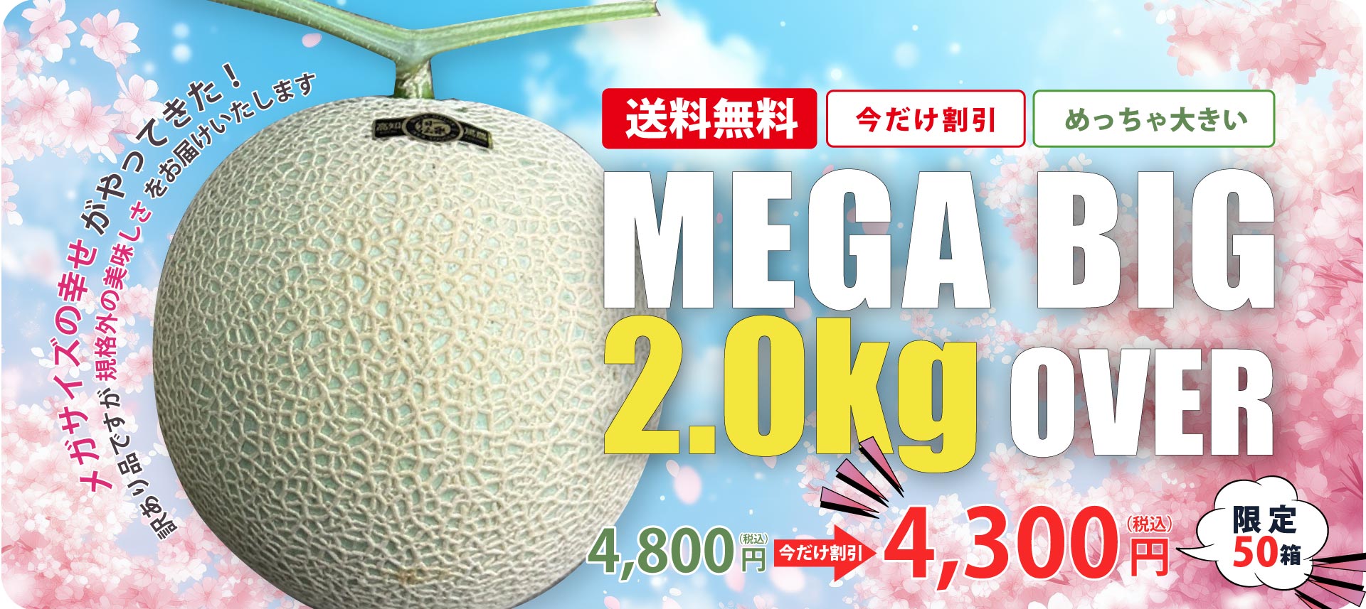 メガビックメロン