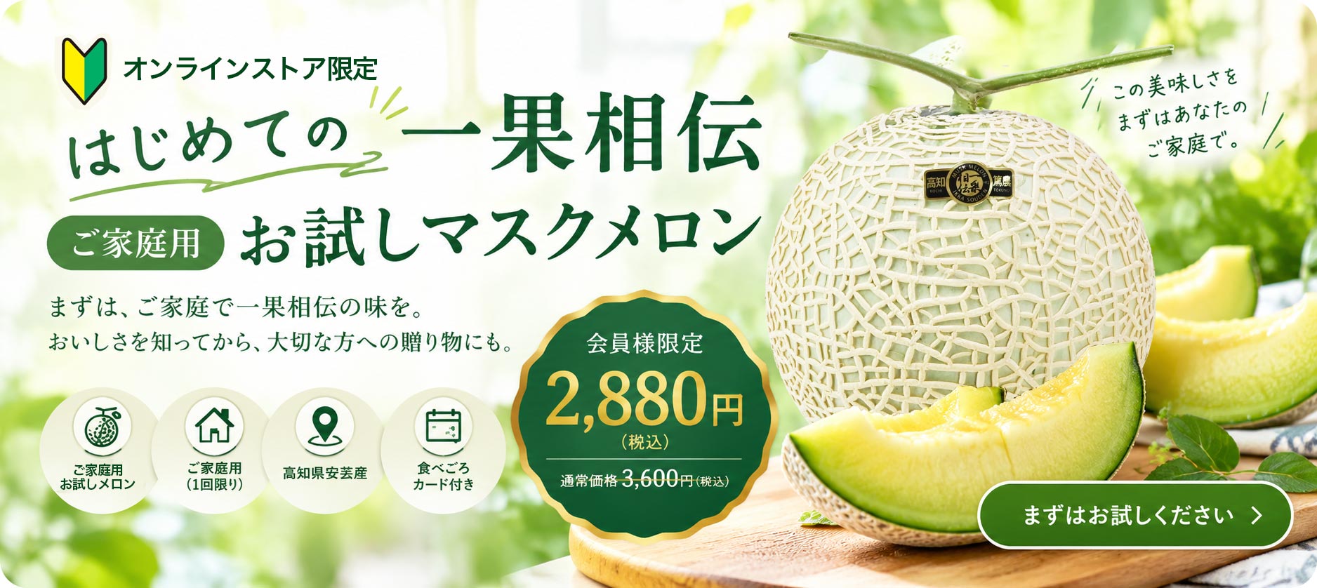 お試しマスクメロン