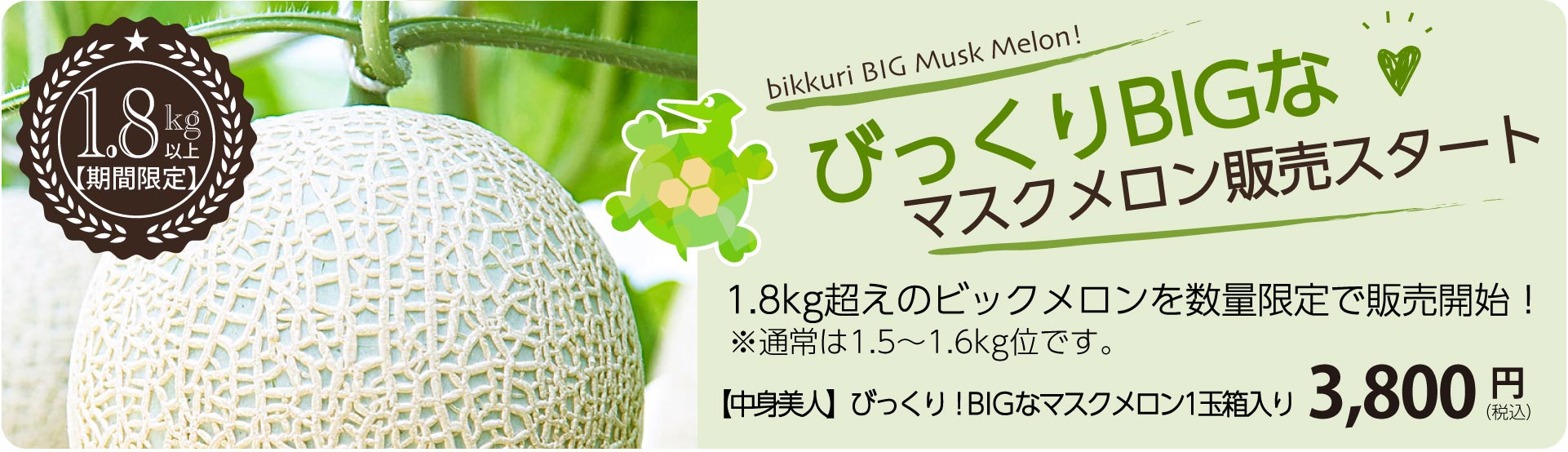 びっくりビックメロン