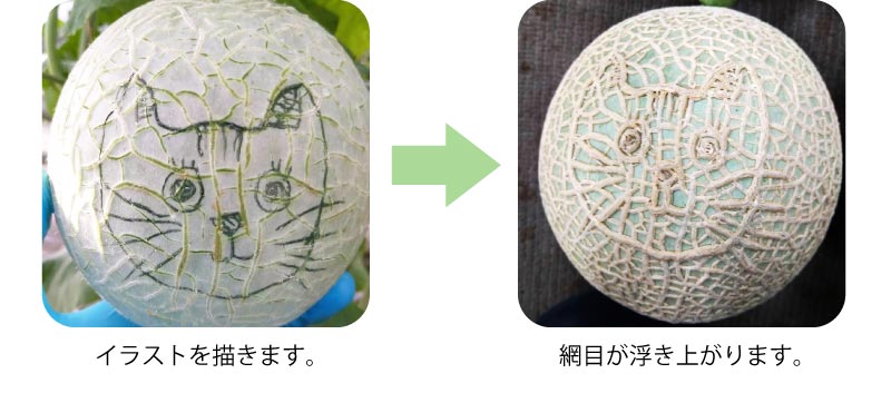 デザインマスクメロン 虎バージョン