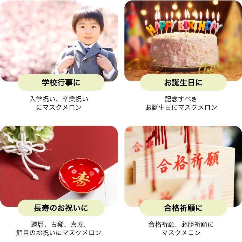 デザインマスクメロンの利用シーン