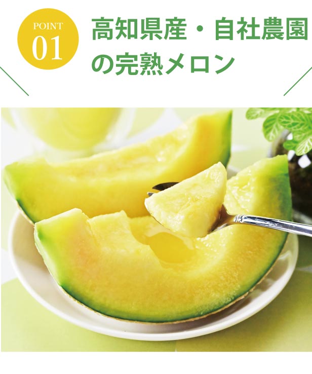 高知県産・自社農園の完熟メロン