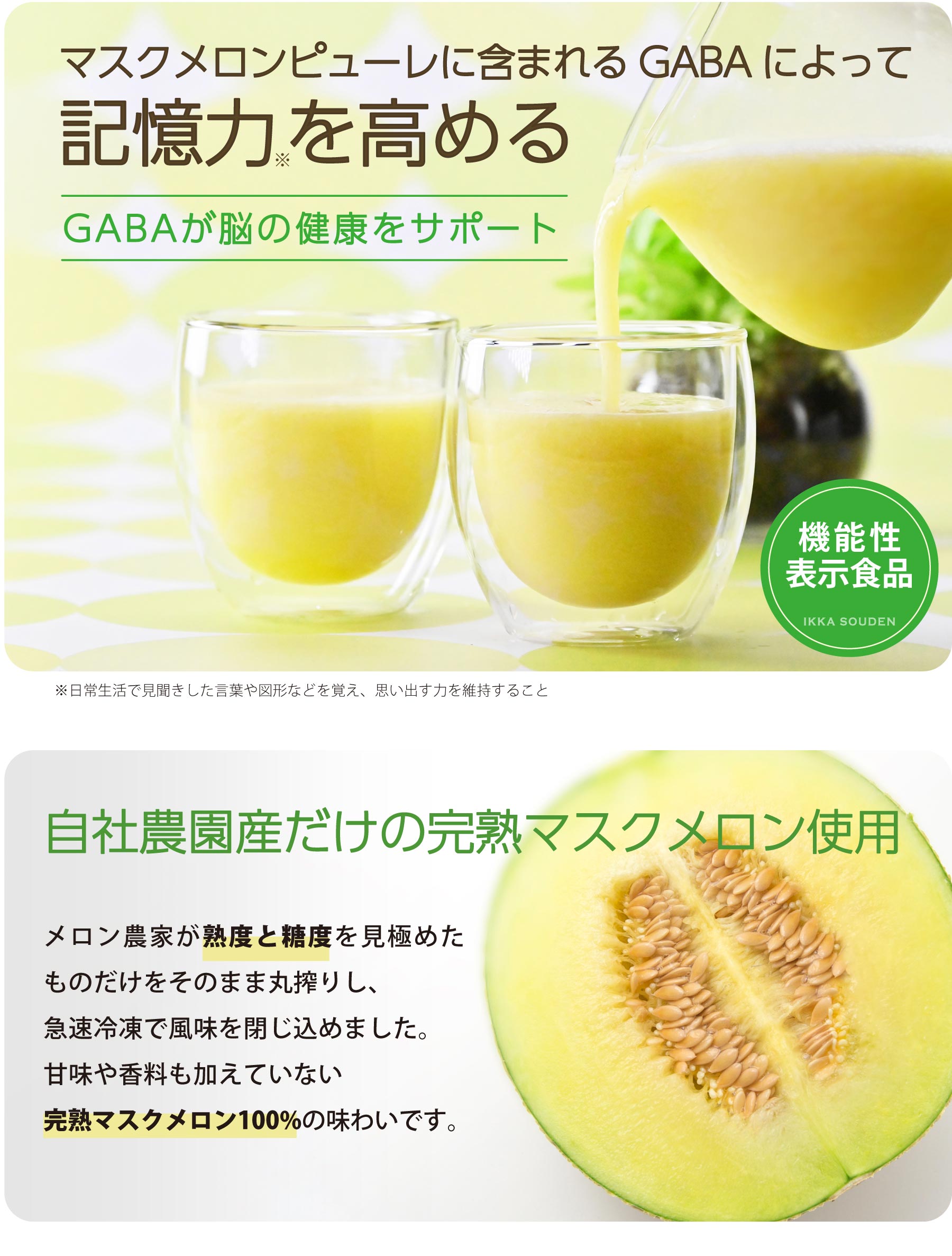 “マスクメロン”に含まれるGABAによって記憶力を高める