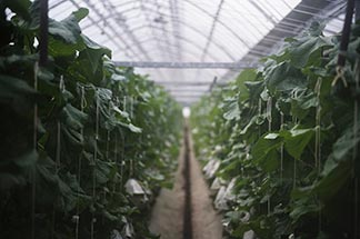 トレーニングハウス