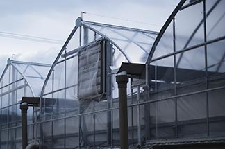 戦後から始まる、農業の原点