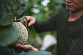 専門性は、時間と姿勢がつくる