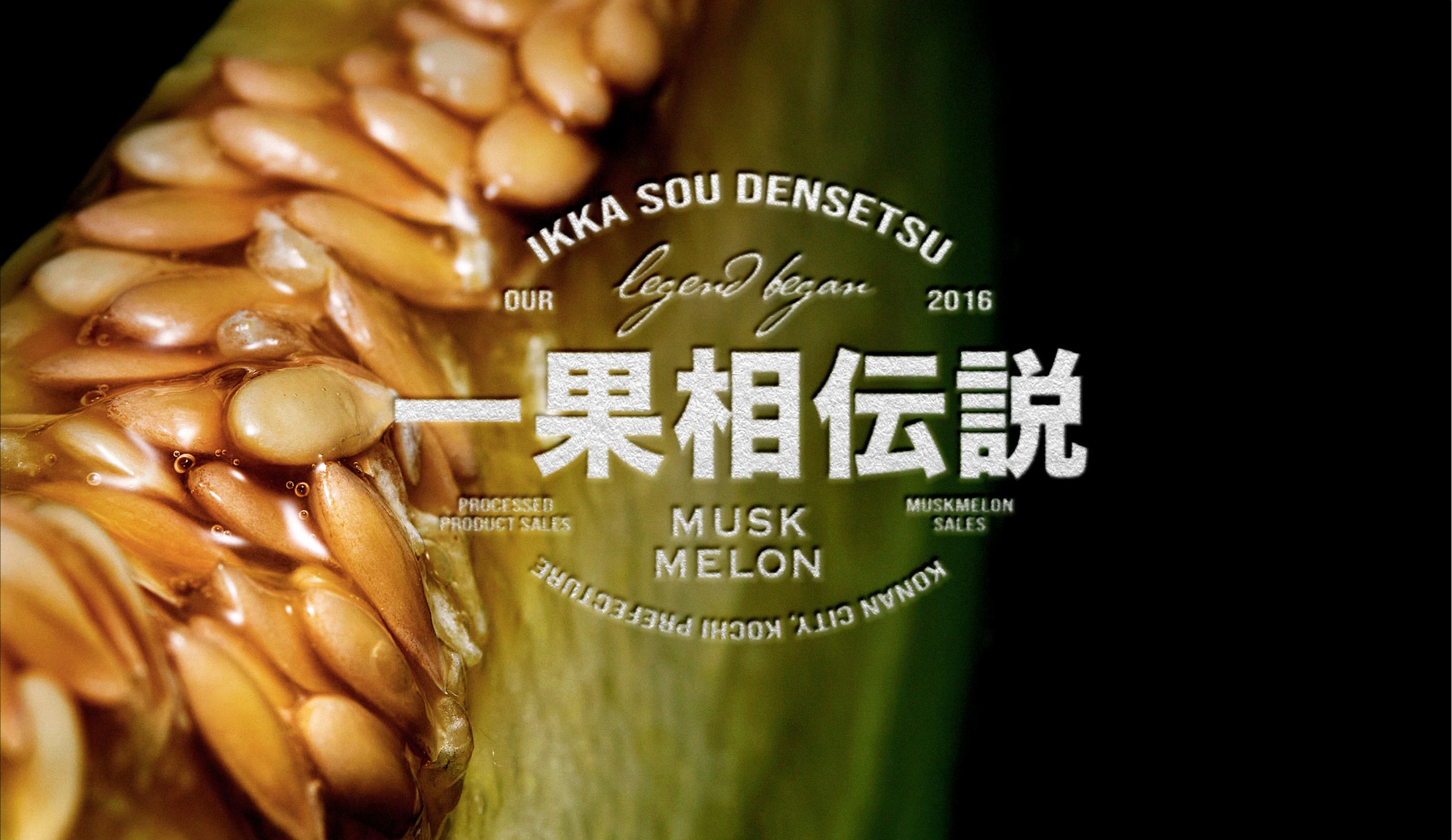 一家相伝説”></div>
<div class=