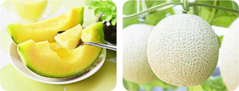 マスクメロンイメージ