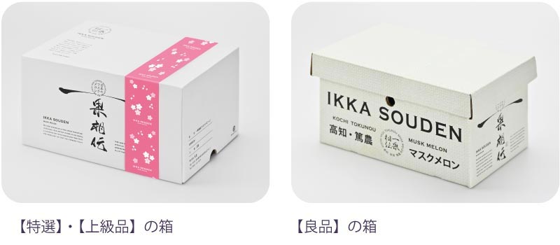 外箱
