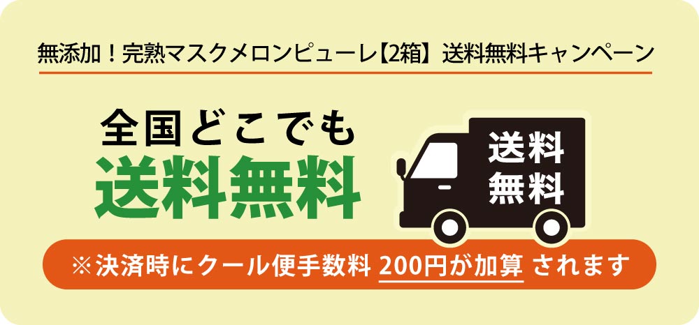 無添加！完熟マスクメロンピューレ【2箱】送料無料キャンペーン