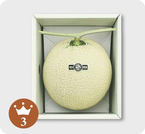 マスクメロン通販専門｜《公式》一つの果実で伝わる 一果相伝