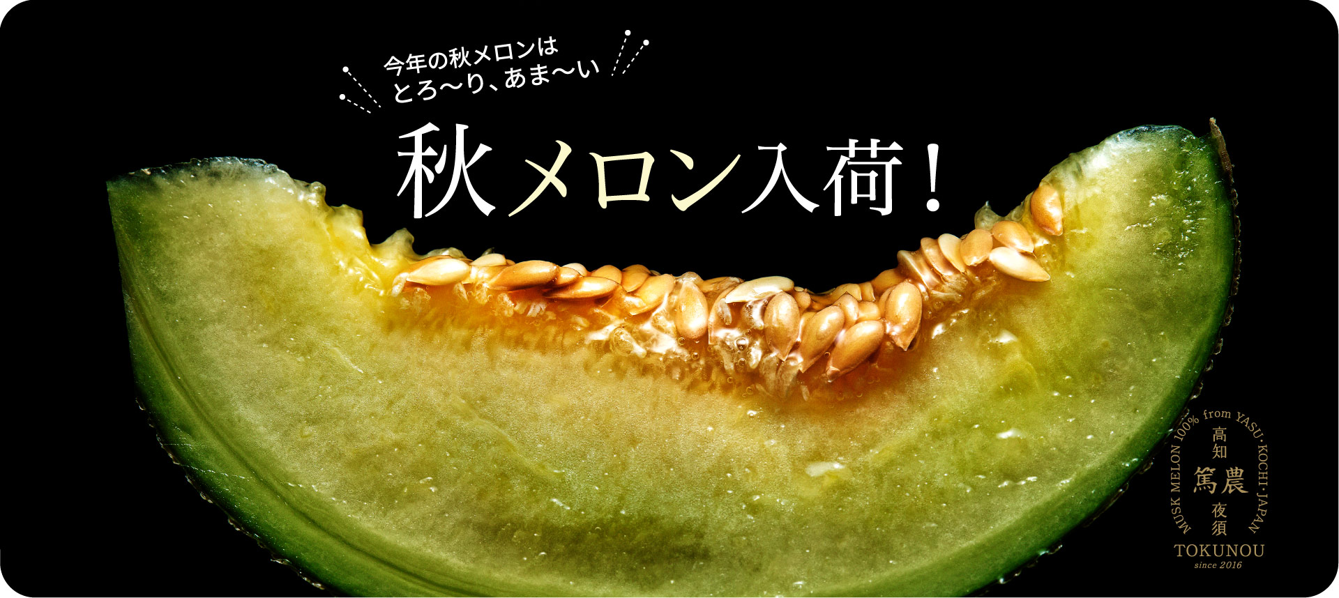 秋メロン入荷