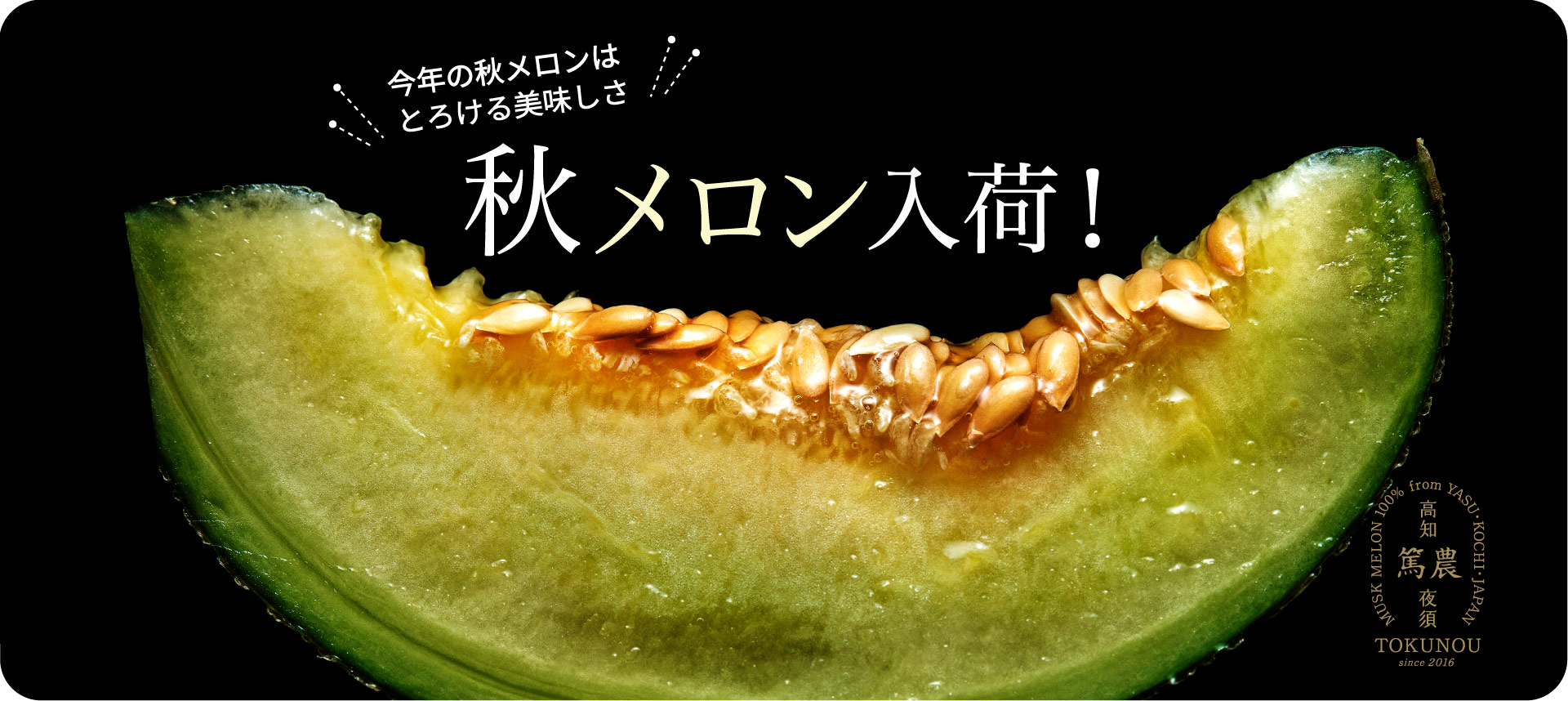 秋メロン入荷