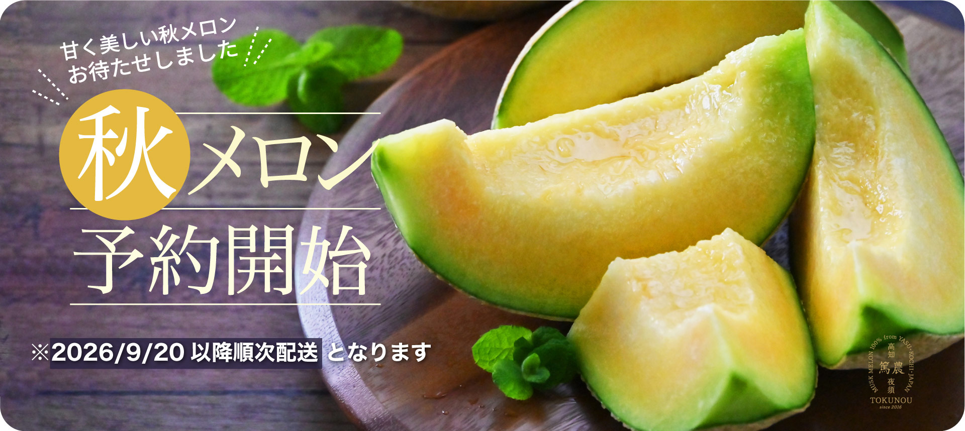 秋メロン予約開始