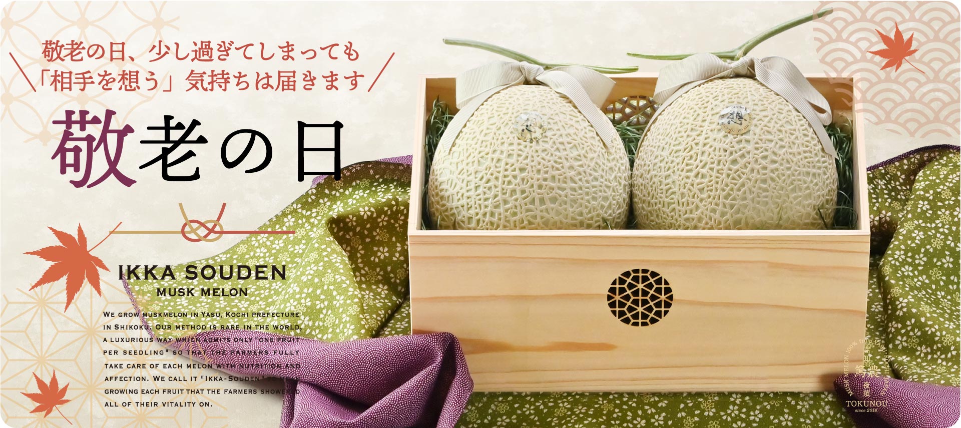 お試しマスクメロン