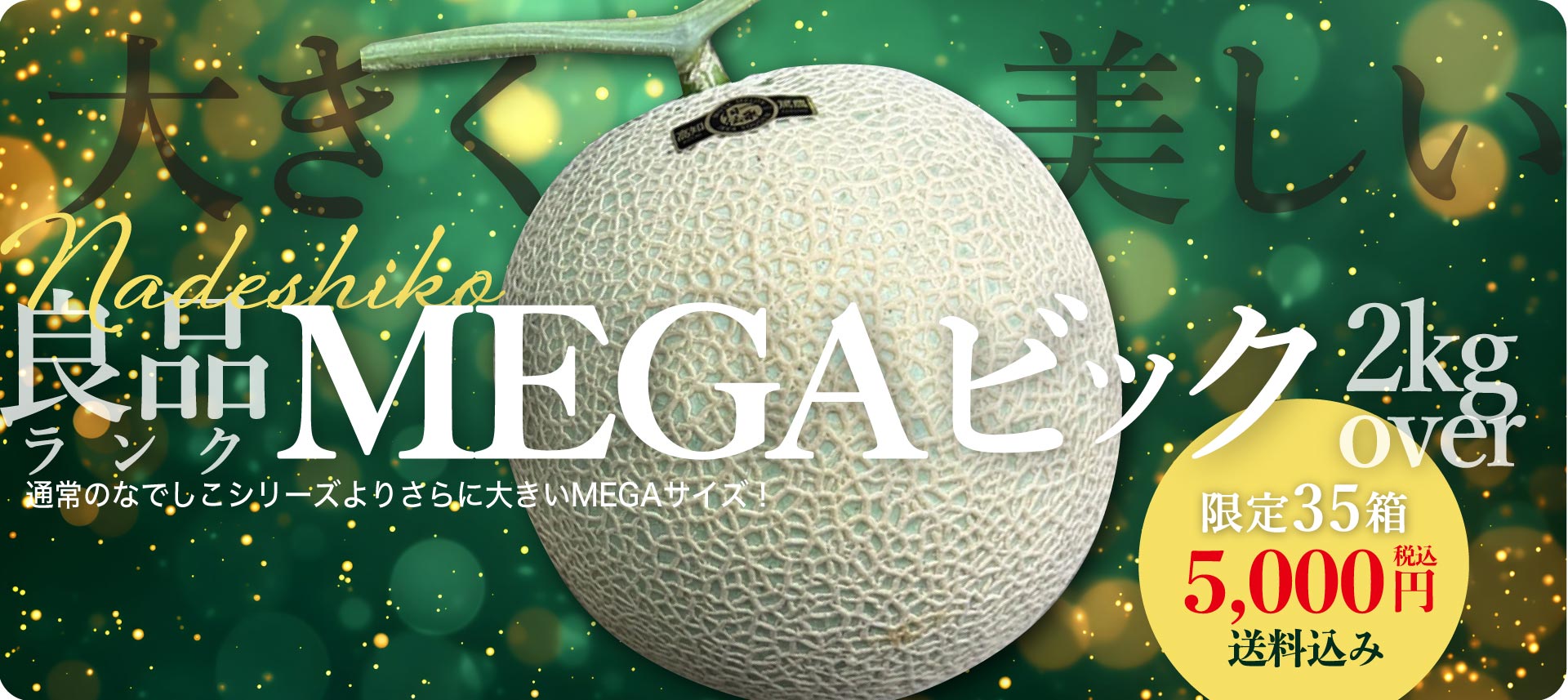 【良品・MEGAビッグ】マスクメロン1玉2kg以上