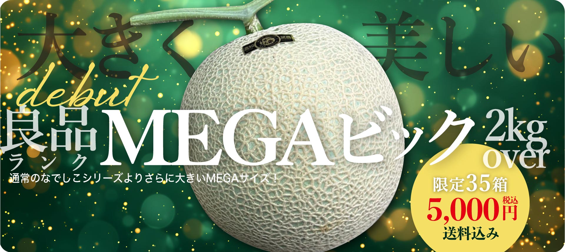  【良品・MEGAビッグ】マスクメロン1玉2kg以上