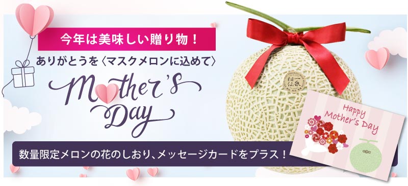 母の日のマスクメロン