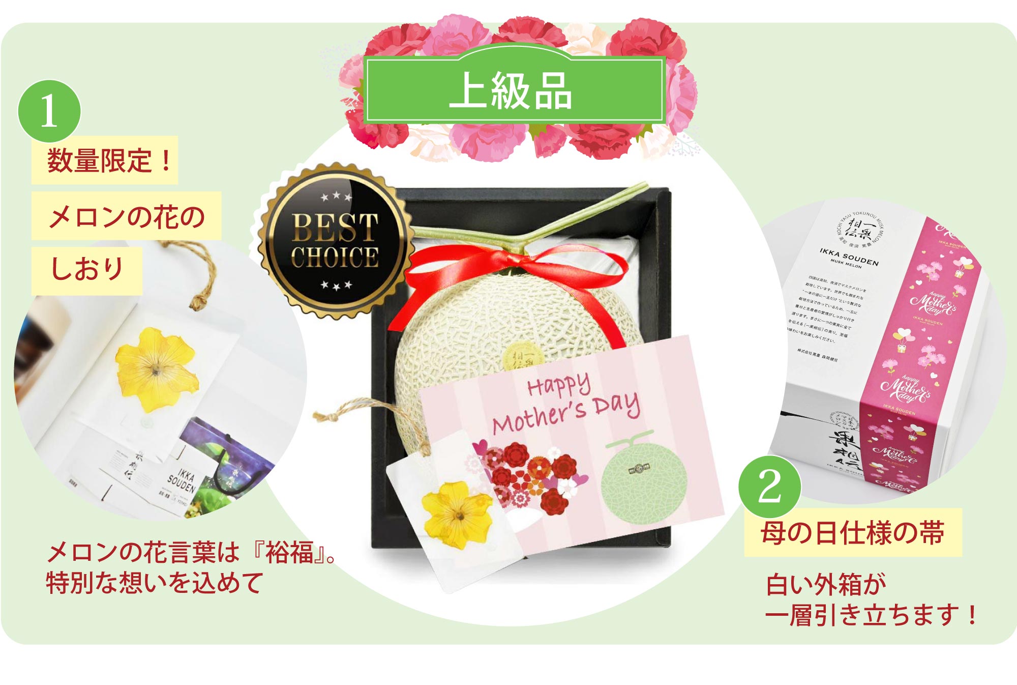 母の日のマスクメロン上級品の仕様