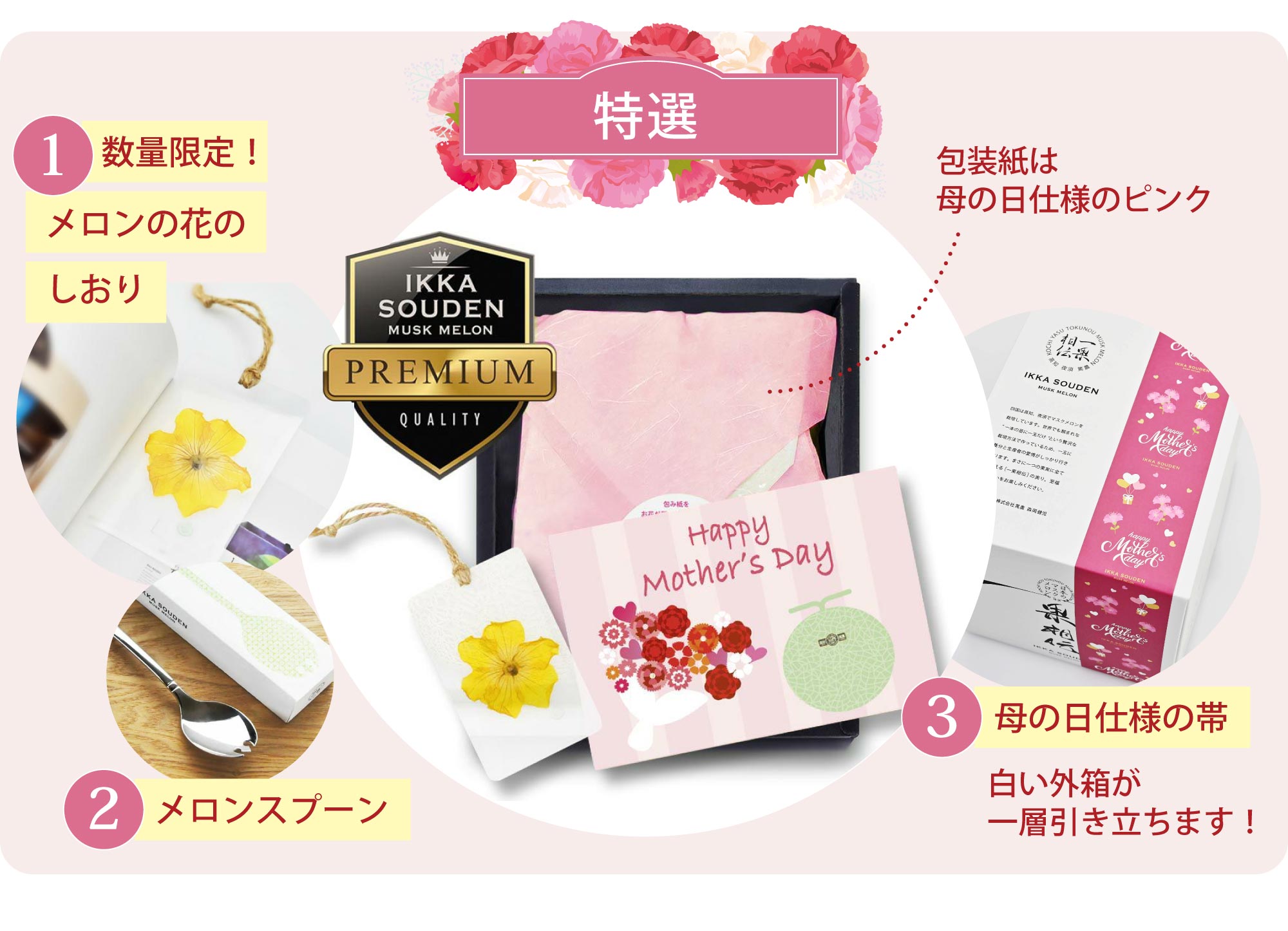 母の日のマスクメロン特選の仕様