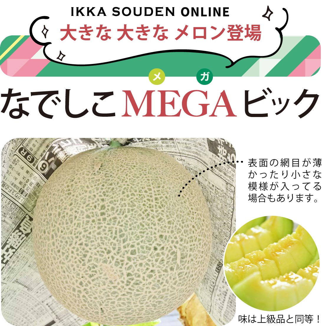 【MEGAビッグ】マスクメロン1玉2kg以上