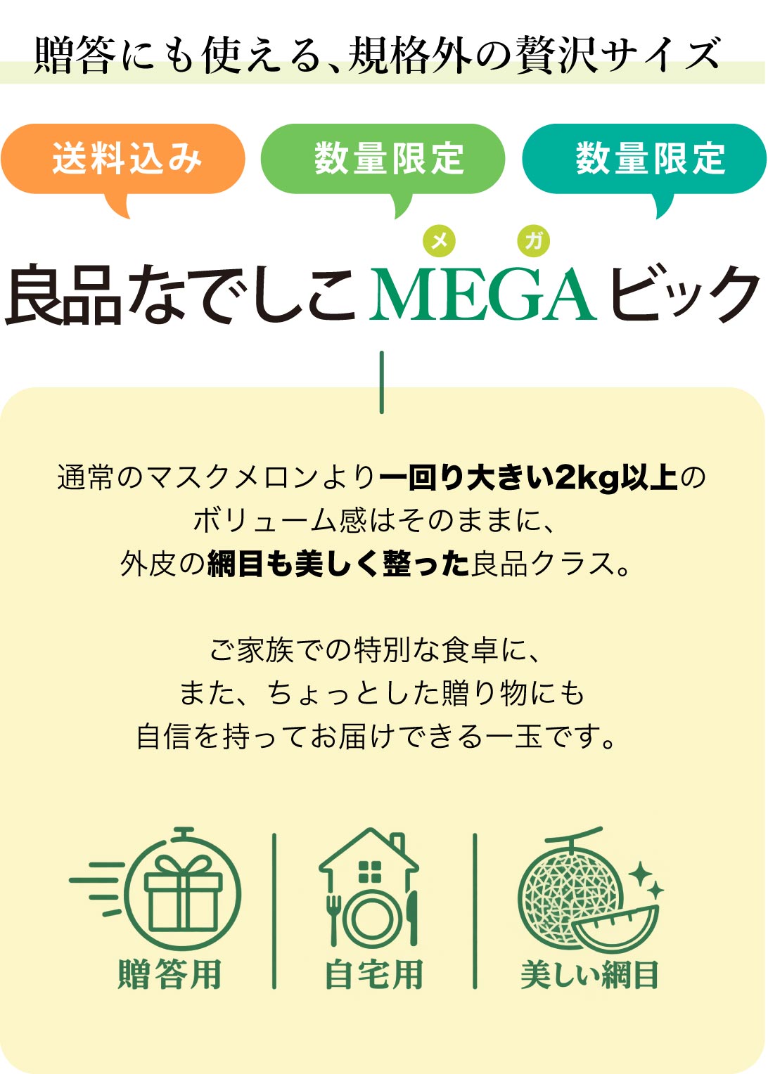 【良品・MEGAビッグ】マスクメロン1玉2kg以上贈答にも使える、規格外の贅沢サイズ