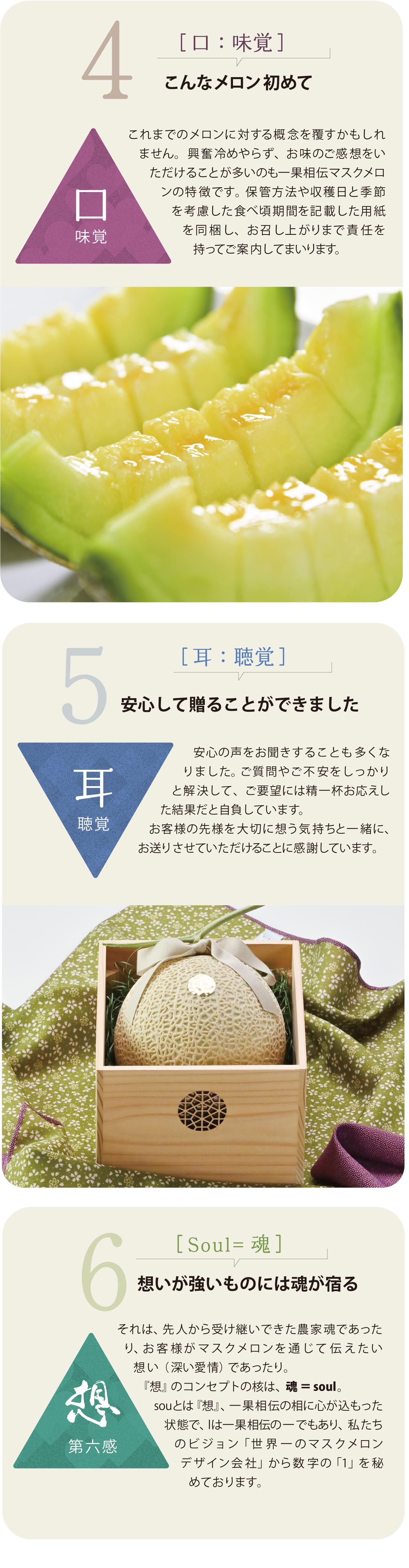 六感を満たすマスクメロン-2