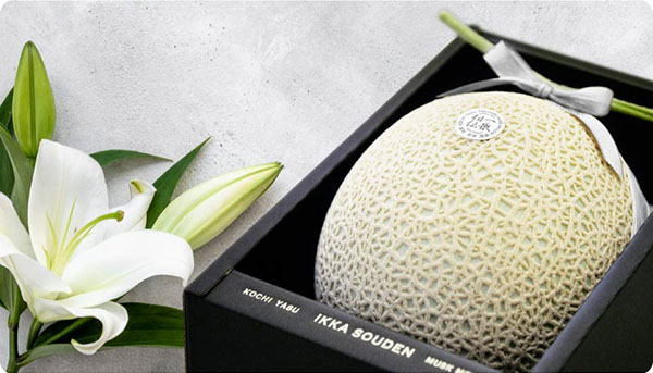 #香典返しメロン