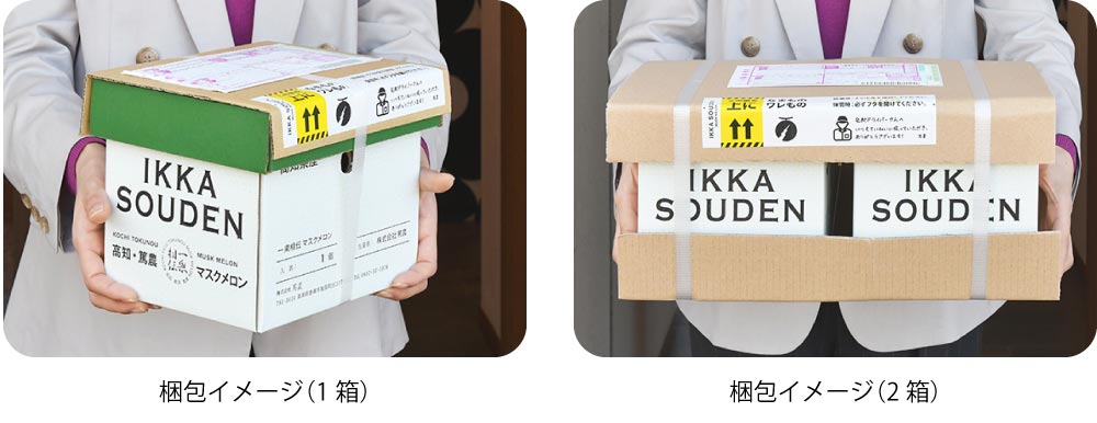 つるかめろんの玉子4.5kg 梱包