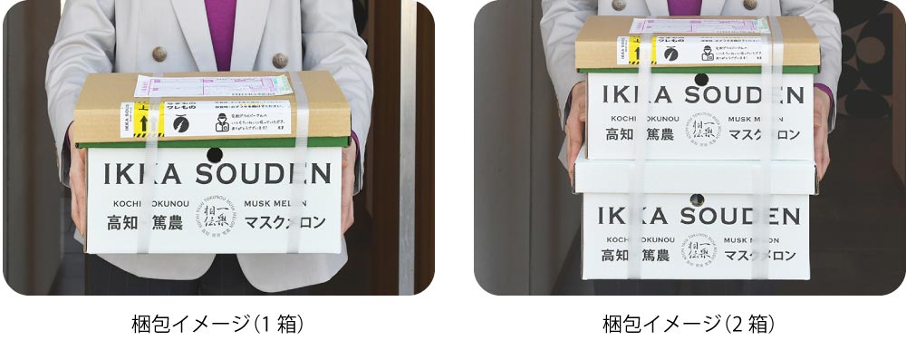 つるかめろんの玉子4.5kg 梱包