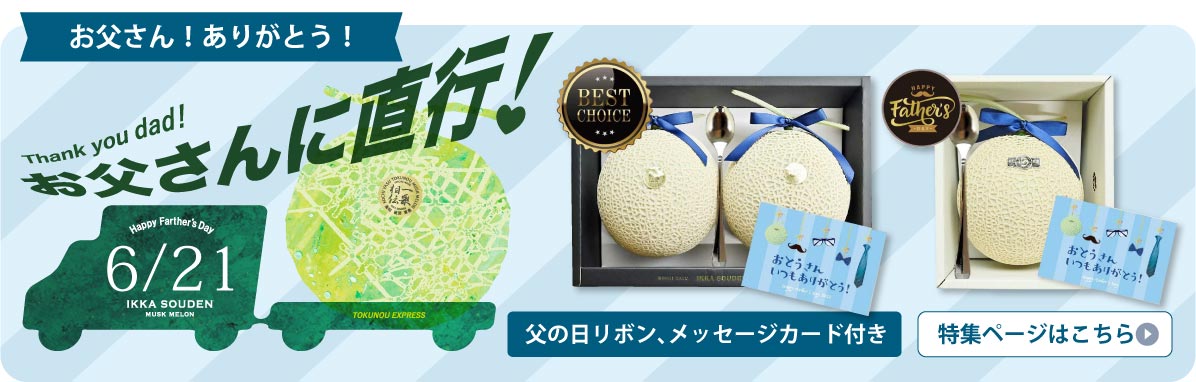 父の日のマスクメロン