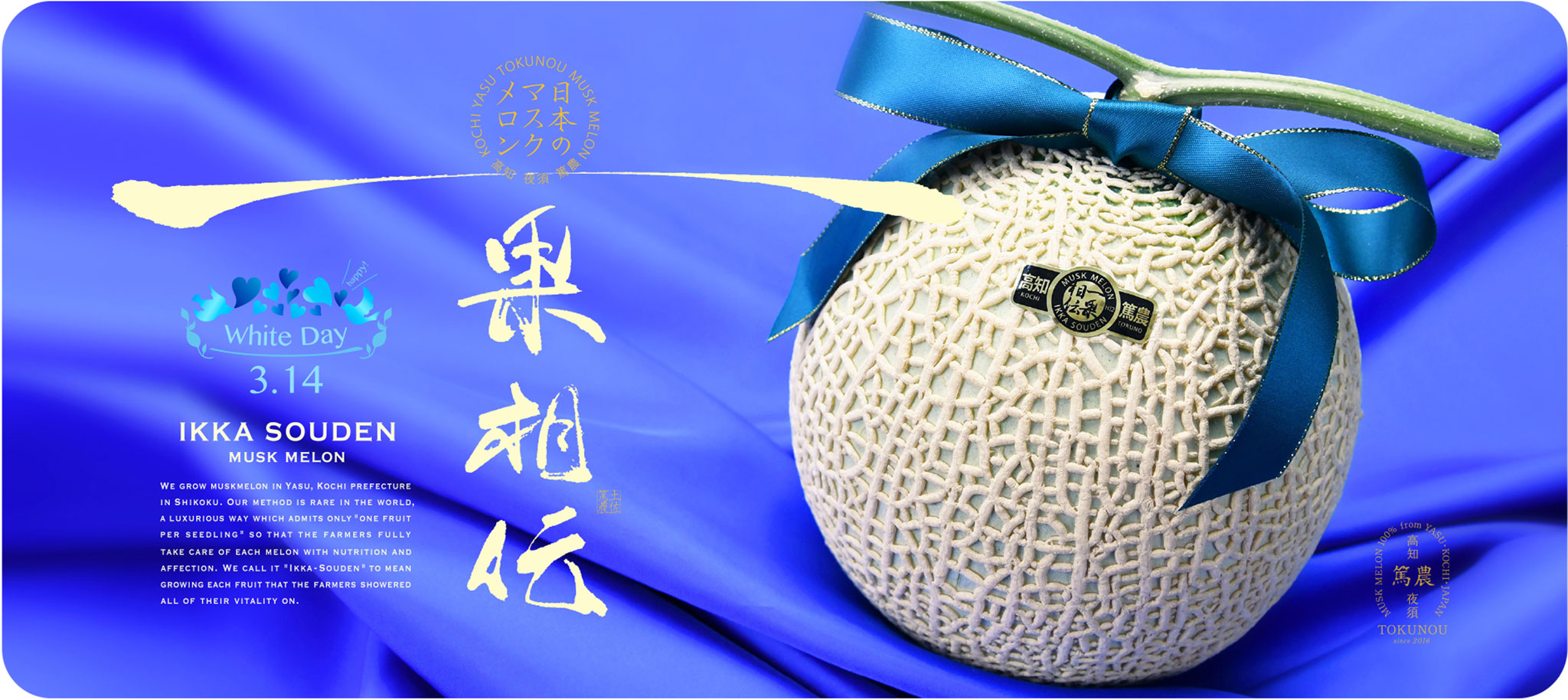 ホワイトデーマスクメロン