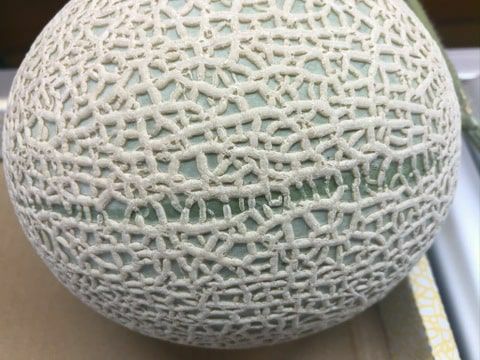 会員様限定】ご自宅用お試しマスクメロン | 一つの果実で伝わる一果相伝 会員様限定】ご自宅用お試しマスクメロン | 一つの果実で伝わる一果相伝