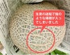日焼けメロン