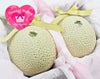 【特選】引出物 花包みマスクメロン2玉箱入り2.8kg以上