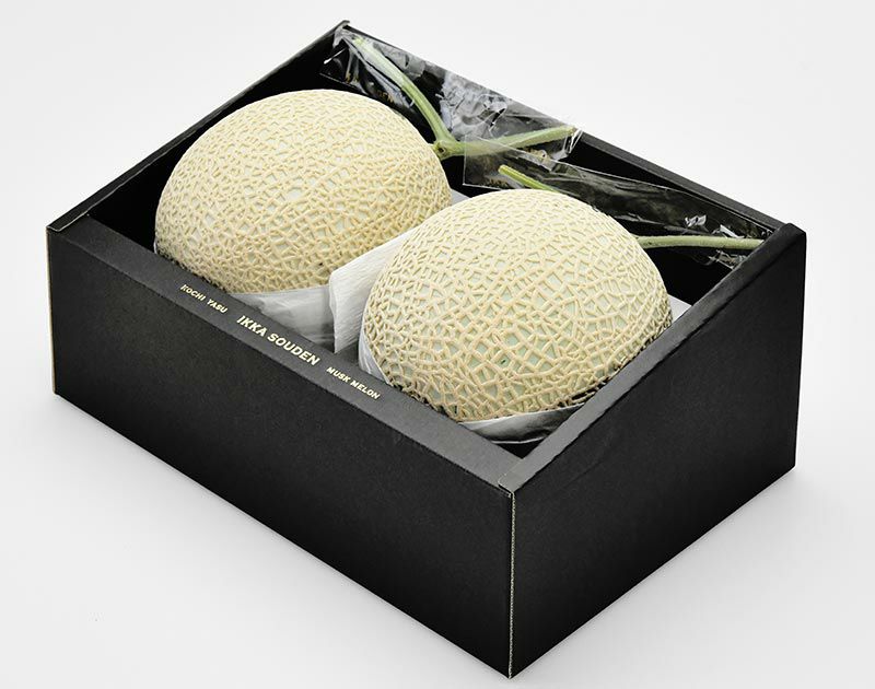 【上級品】こどもの日 マスクメロン2玉箱入り3.2kg以上