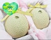 【特選】結婚内祝い 花包みマスクメロン2玉箱入り2.8kg以上