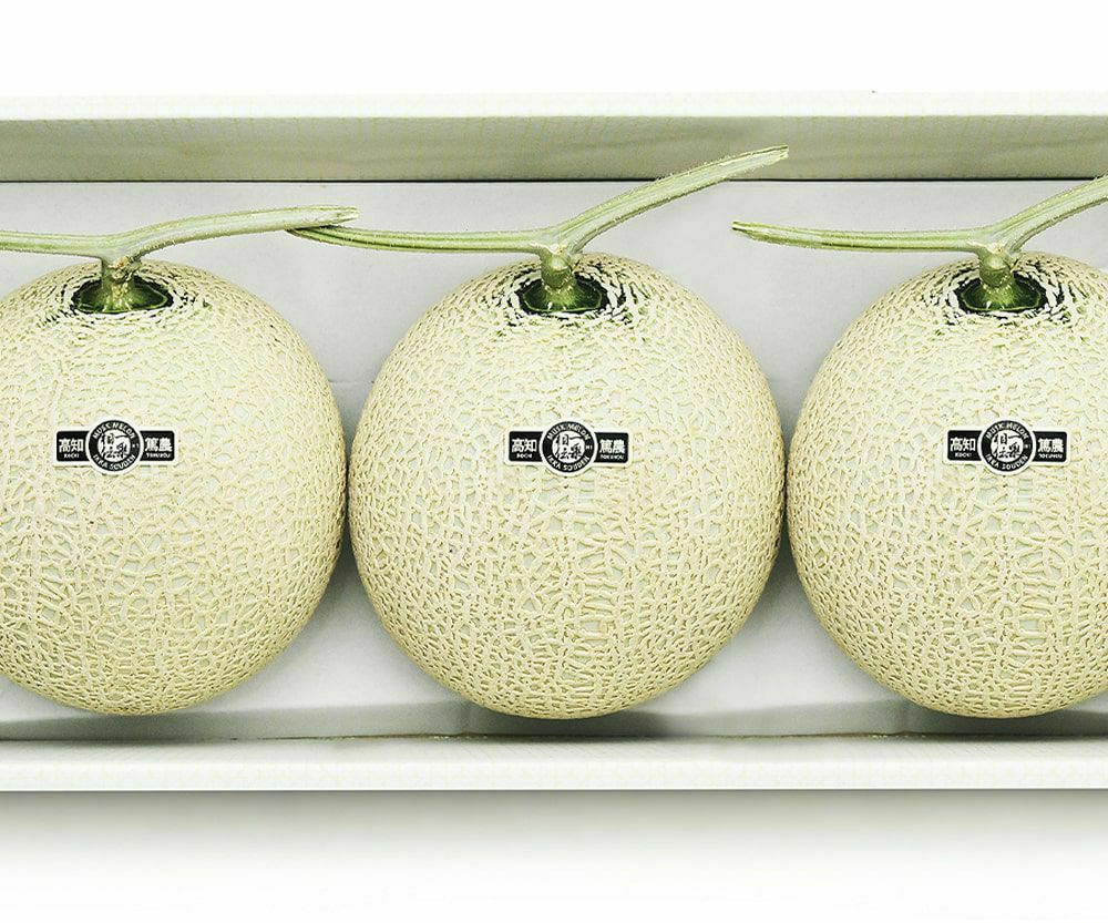 【良品】残暑御見舞 マスクメロン3玉箱入り4.5kg以上