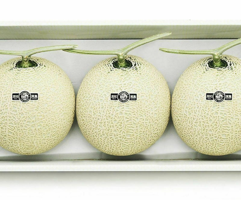【良品】残暑御見舞 マスクメロン3玉箱入り4.5kg以上