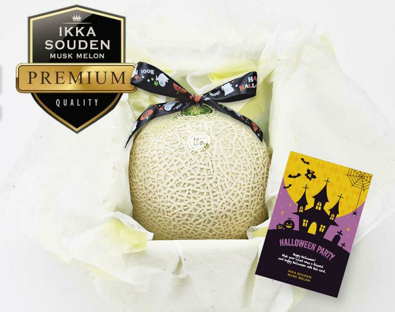 【特選】花包みマスクメロン1玉箱入り1.6kg以上（高知県産）
