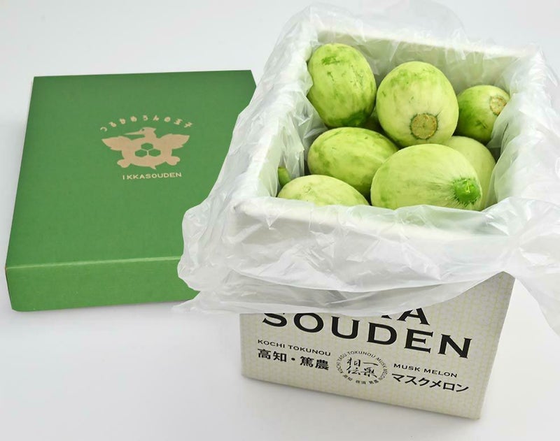 【つるかめろんの玉子】摘果メロン／2kg以上