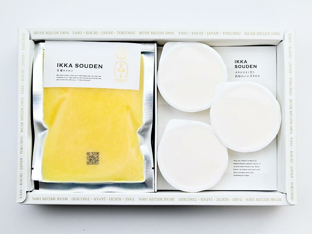  マスクメロンのピューレ3袋と高知のバニラアイス3個