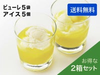 マスクメロンのピューレ5袋と高知のバニラアイス5個