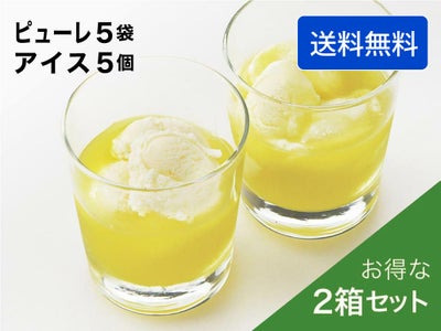 マスクメロンのピューレ5袋と高知のバニラアイス5個