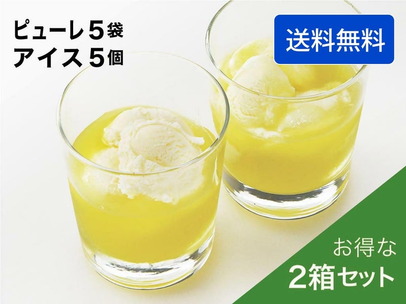 マスクメロンのピューレ5袋と高知のバニラアイス5個