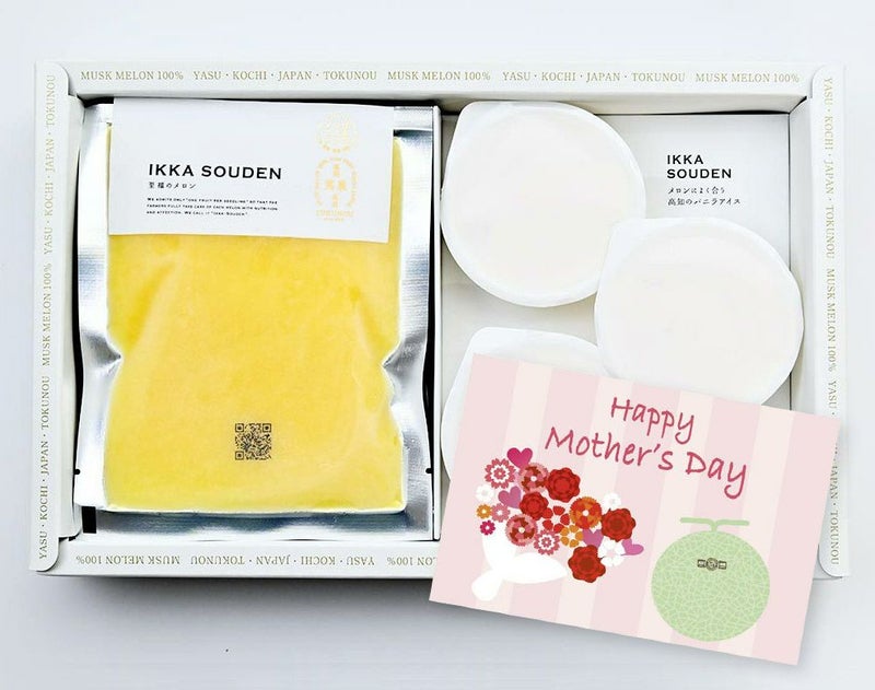  母の日 マスクメロンのピューレ3袋と高知のバニラアイス3個